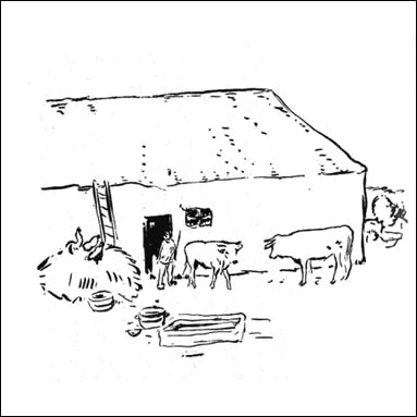 Les boeufs (Bonnard)