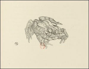 Le crapaud (Lautrec)